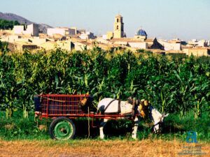 fotos pueblo octobris